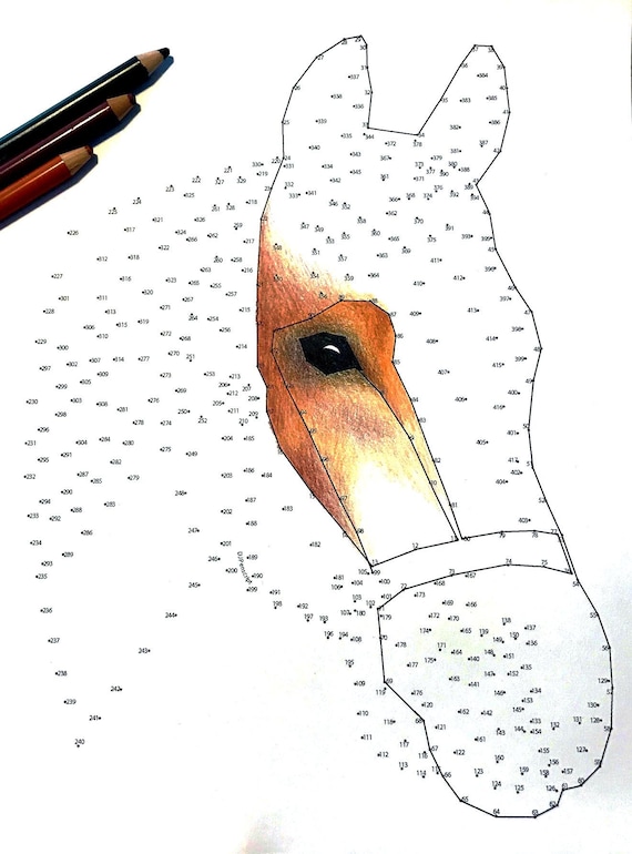 Horse Extreme Dot to Dot PDF Activity and Coloring Page  