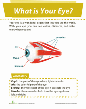 Eye Diagram | Worksheet 