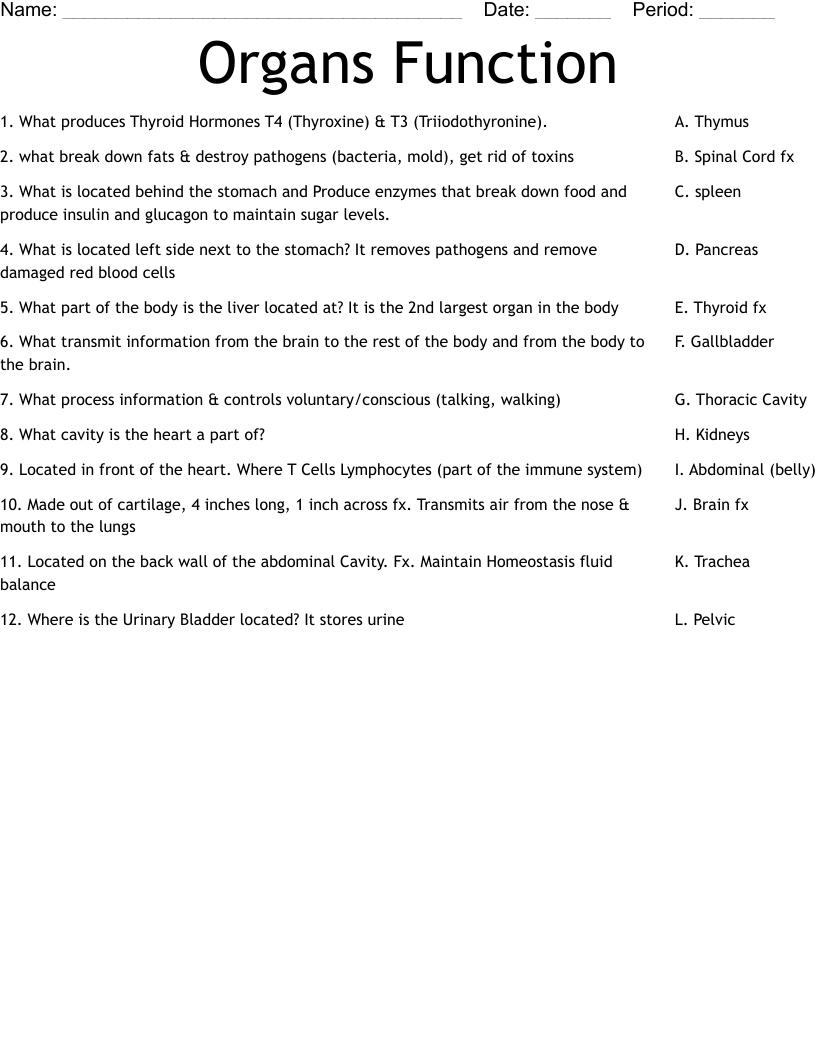 Organs Function Worksheet - WordMint