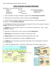 facilitated diffusion worksheet