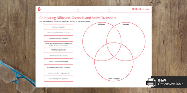 facilitated diffusion worksheet