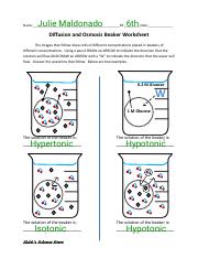 1.2 Review-Osmosis Worksheet 1 .pdf - Name: Date: Osmosis: A Form ...