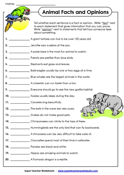 fact and opinion worksheet college