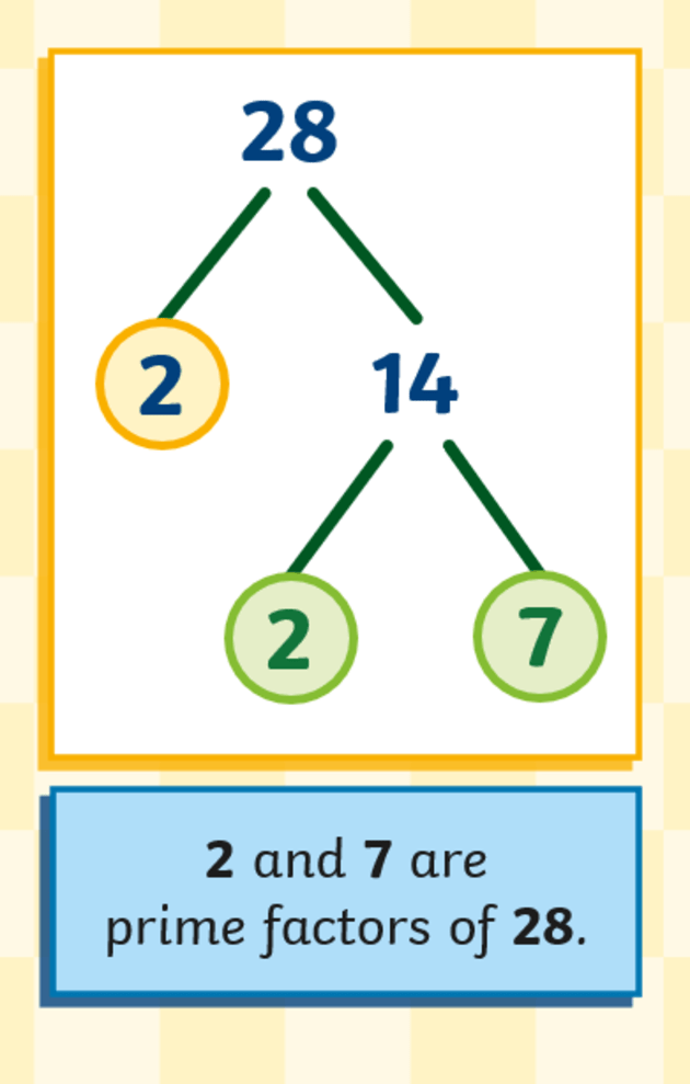 What are Factor Trees? Characteristics, Uses and Examples