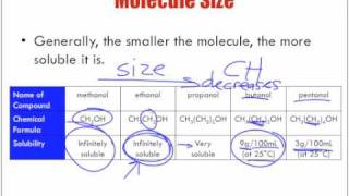 factors affecting solubility worksheet