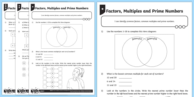 factors and prime numbers worksheet