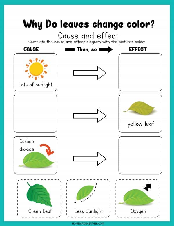 Fall Leaf Printable Work Sheets » Homemade Heather