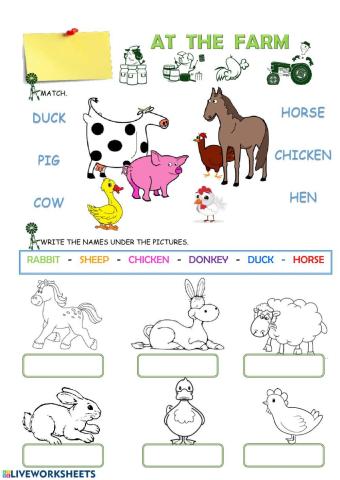 Farm animals online activity  