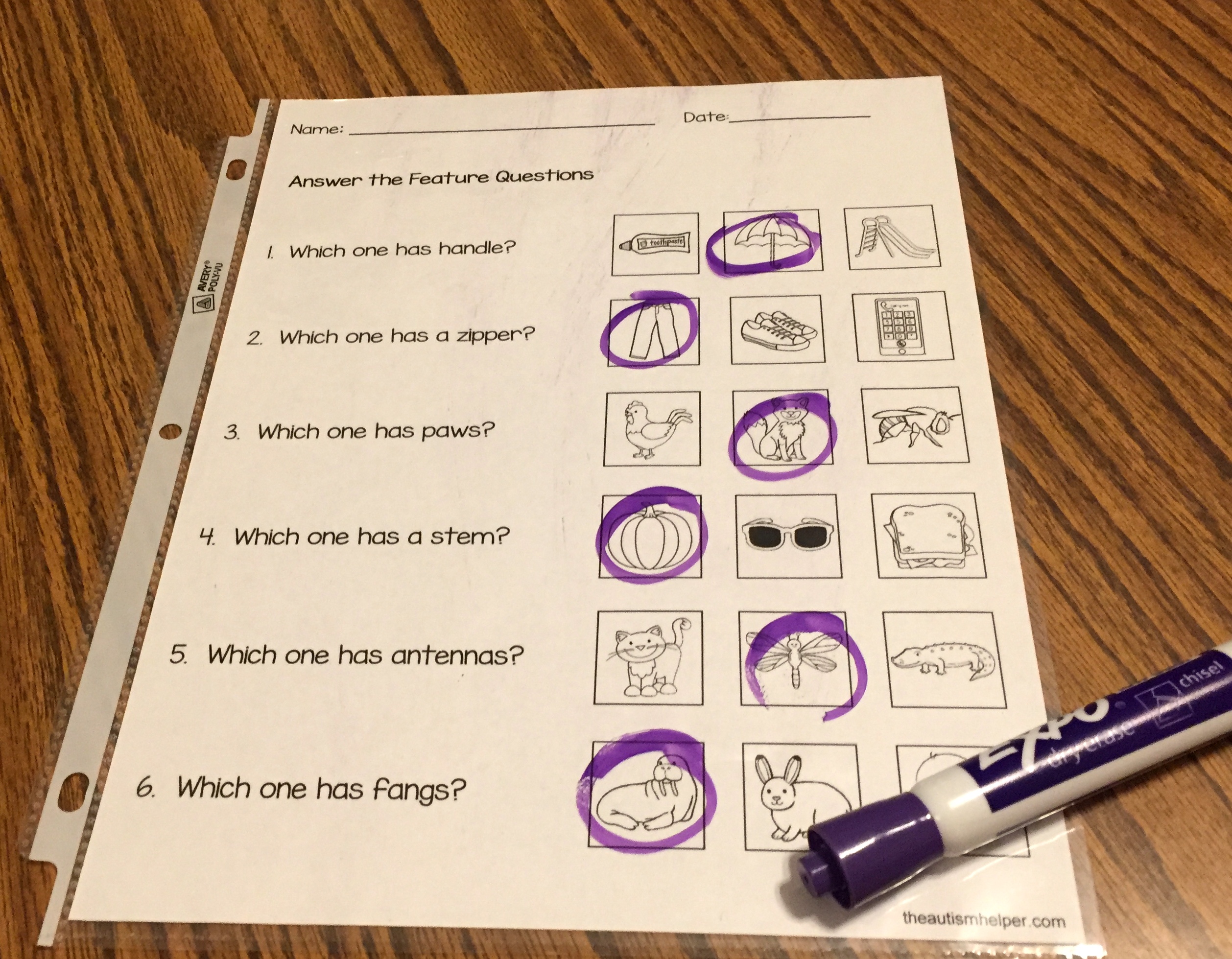 Feature/Function Cards - The Autism Helper - Worksheets Library