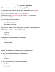 fermentation worksheet2020.docx - Fermentation Worksheet 1. Does ...