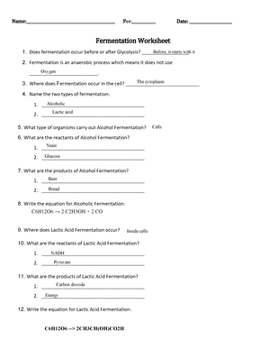 Kami Export - EVAN Mazzarella - Fermentation+worksheet - - Studocu