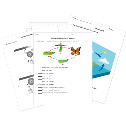 fifth grade science worksheet free printables