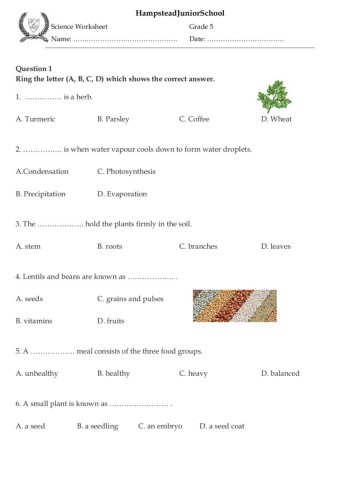 Science Worksheet 1 Grade 5 - Worksheets Library