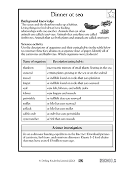 Food chains at sea | 5th grade Science Worksheet | GreatSchools