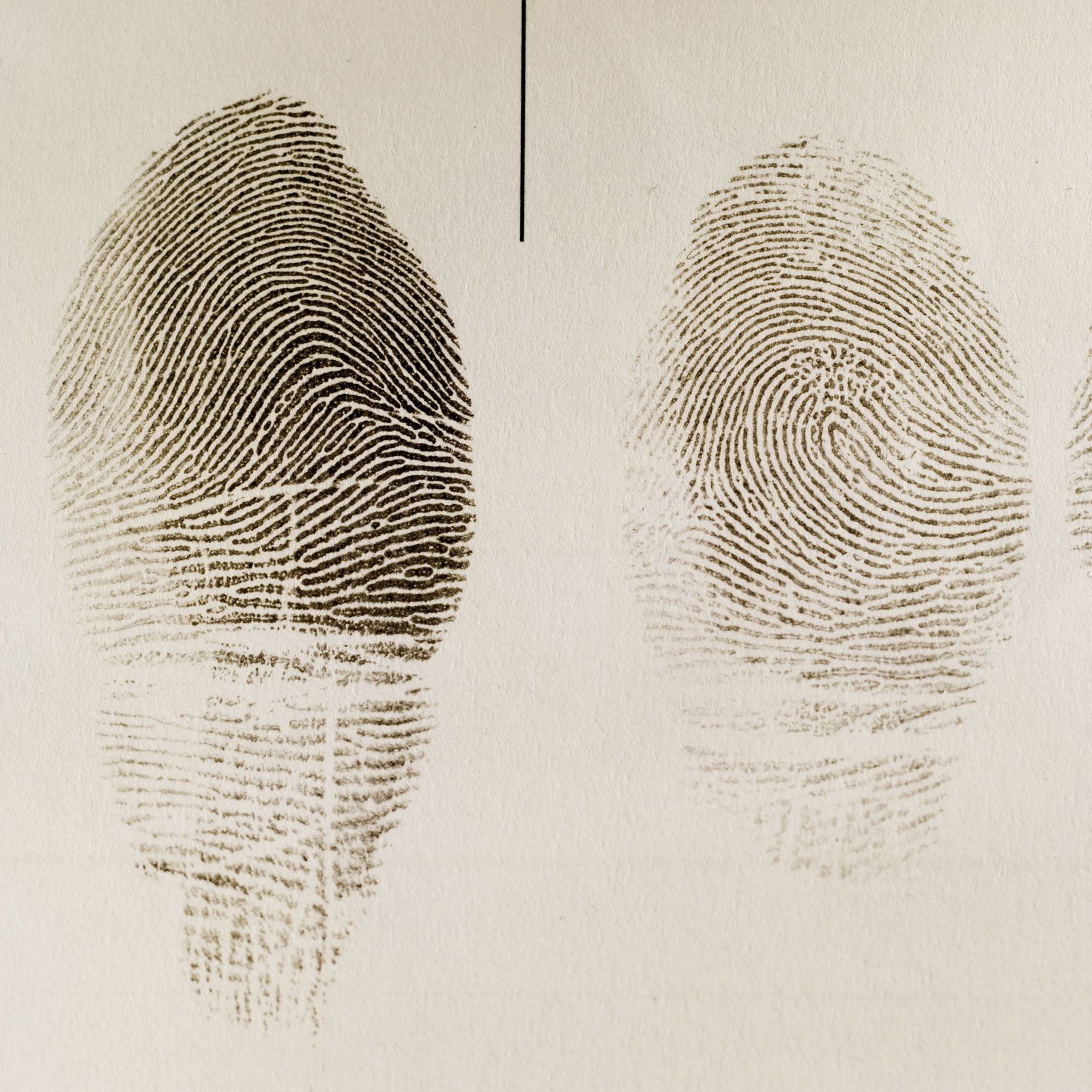 Fingerprint | Definition &  Facts | Britannica