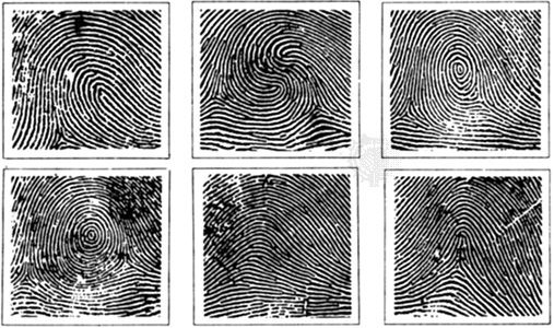 Fingerprint | Definition &  Facts | Britannica