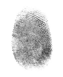 Android fingerprint - Material Design