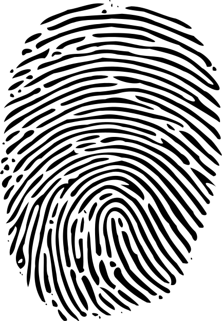 Datei:Fingerprint picture.svg - Wikipedia