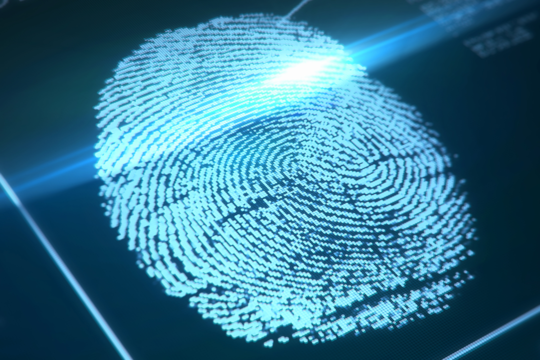 Fingerprint Bilder - Durchsuchen 235,943 Archivfotos ...
