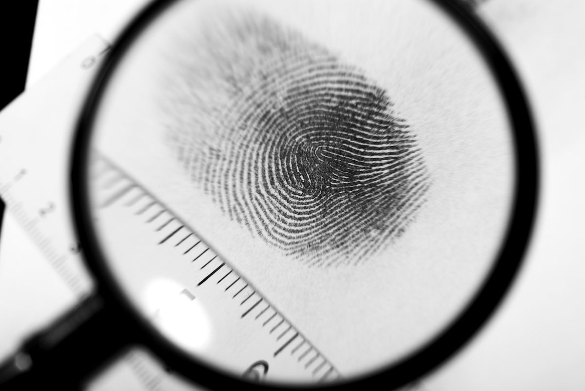 Understand the Types of Fingerprints