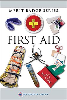 First Aid Merit Badge Worksheets Library