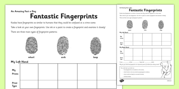 Fantastic Fingerprints Worksheet / Worksheet - Twinkl