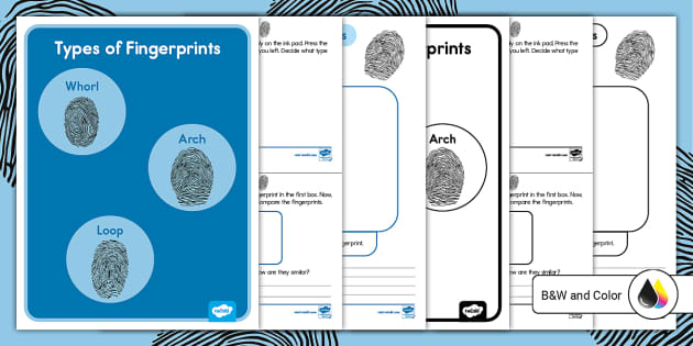 All About Fingerprints Activity for K-2nd Grade - Twinkl