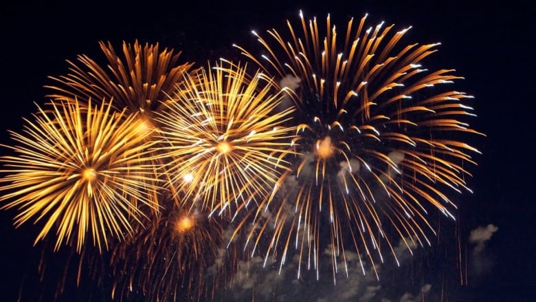 How fireworks can affect your health and the ecosystem | CBC News
