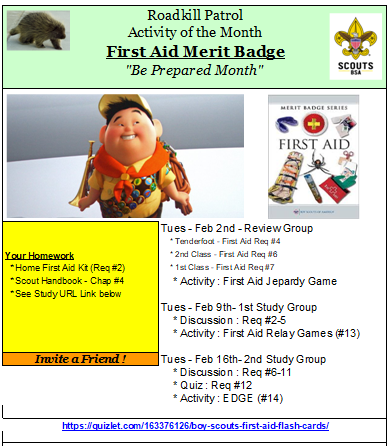 first aid merit badge requirements