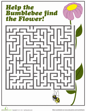 Bumblebee Maze | Worksheet 