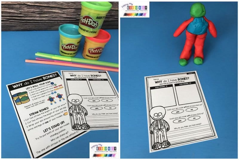 45 Fabulous 1st Grade Science Experiments and Projects To Try