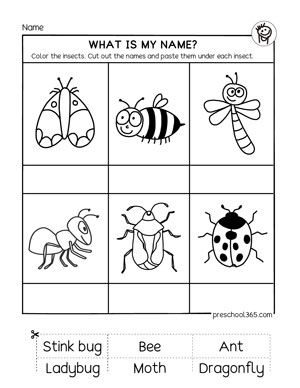 A free science activity worksheet on Insects for kindergarten and ...