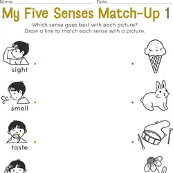 1st Grade Science Resources 