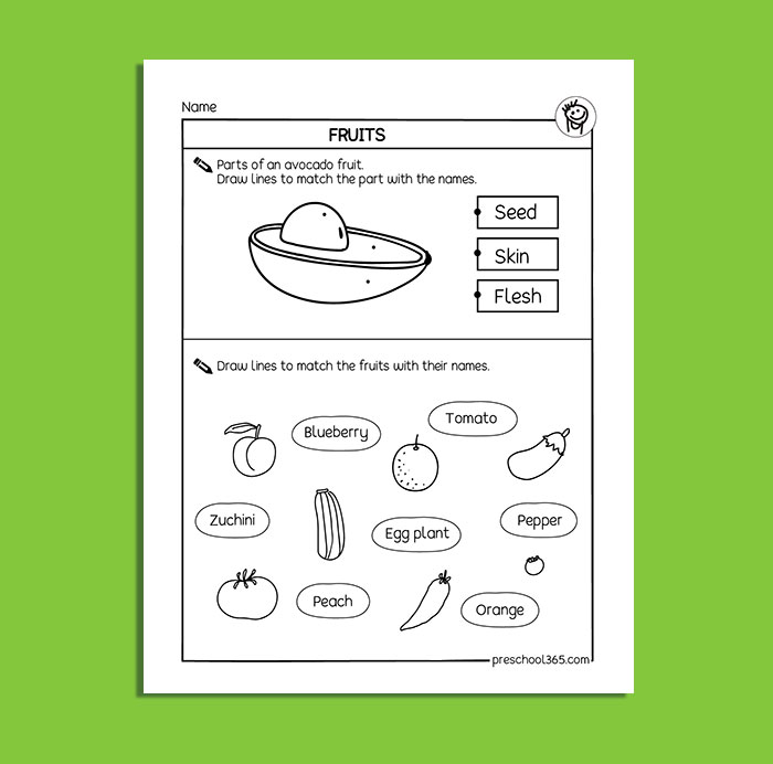 first grade worksheet for plant