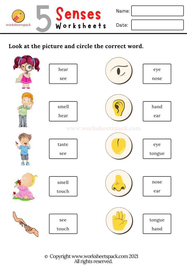 five senses worksheet for kindergarten