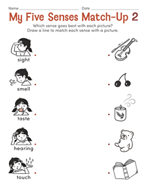 five senses worksheet for kindergarten