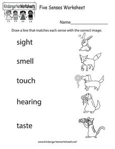 Your Five Senses Worksheet for Pre-K - Kindergarten | Lesson Planet