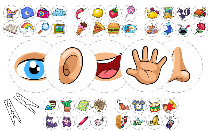 five senses worksheet for kindergarten