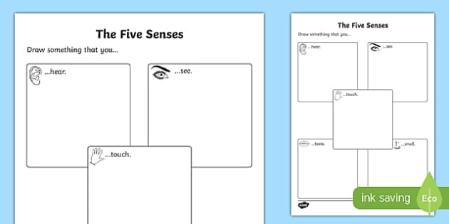 five senses worksheet for kindergarten