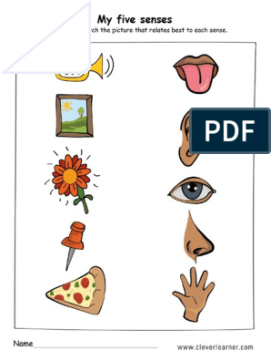 The Five Senses Worksheet Preschool | PDF