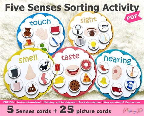 Printable 5 Senses Sorting Activity