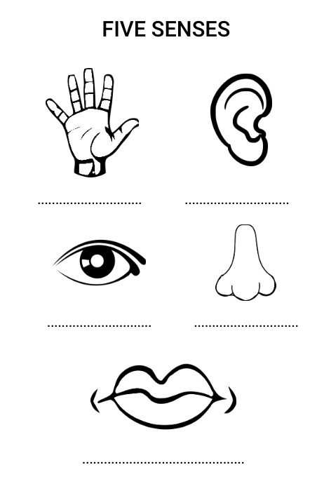 Five Senses free Worksheet for preschool Template | PosterMyWall