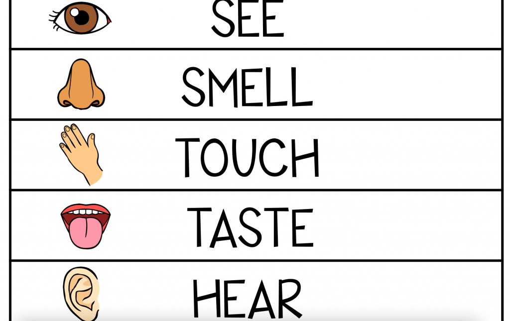 5 Senses Activities - Active Littles