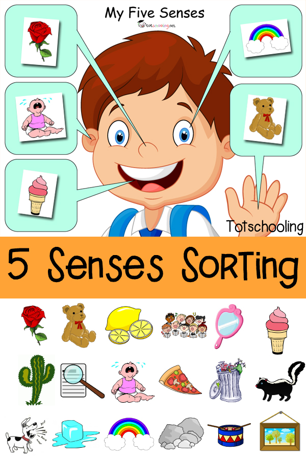 five senses worksheet for preschoolers