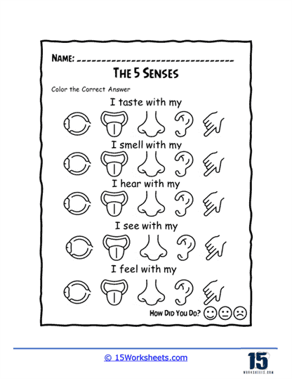 five senses worksheet kindergarten