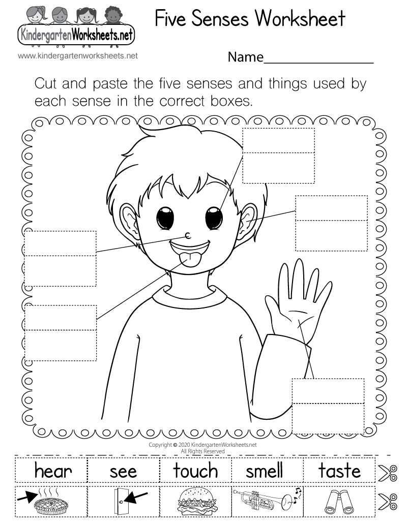 five senses worksheet pdf