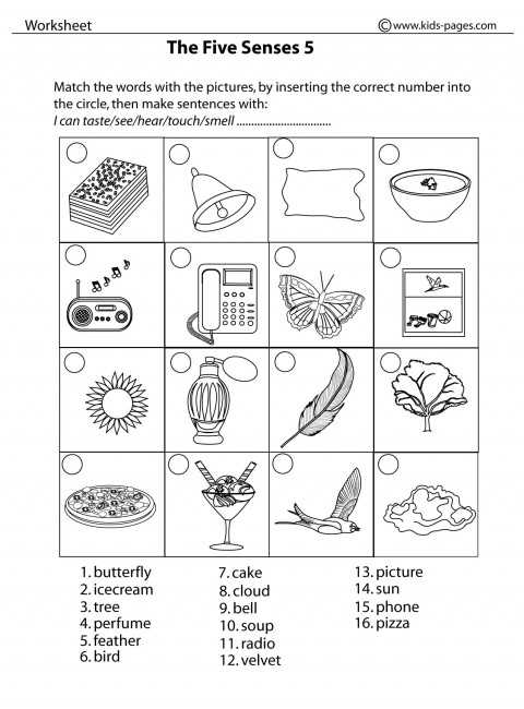 The Five Senses 5 b& w worksheet