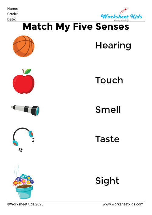 Five senses for kids | Activities &amp; Worksheet | Preschool ...