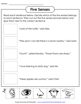 Five Senses (See, Hear, Touch, Smell, Taste)