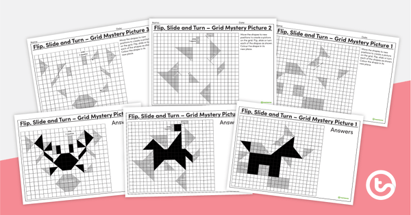 flips slides turns worksheet
